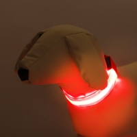 Ошейник с подсветкой Двойная полоса размер S, ОШ 35-43 х 2,5 см, 3 режима свечения красный 977224 Ошейник с подсветкой Двойная полоса размер S, ОШ 35-43 х 2,5 см, 3 режима свечения красный 977224