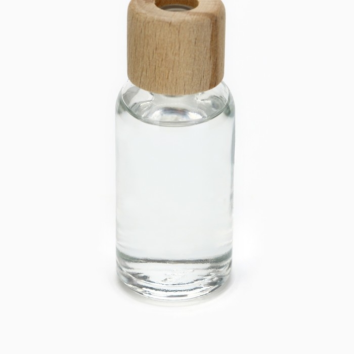 Диффузор ароматический палочки, ароматизатор для дома &laquo;Аромадиффузор: Окружи себя заботой&raquo;, аромат яблоко, 30 мл.