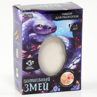 Новый год! Набор для раскопок &laquo;Волшебный змей&raquo;