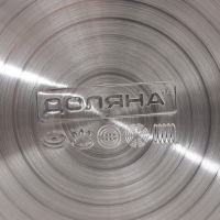 Чайник со свистком из нержавеющей стали Доляна &laquo;Рио&raquo;, 2,8 л, фиксированная ручка, цвет зелёный