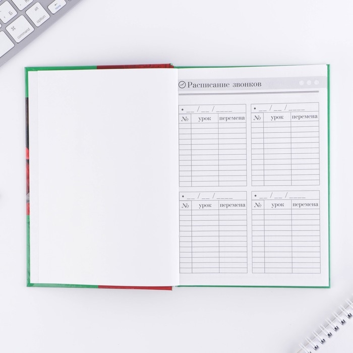 Ежедневник &laquo;Учителю: Ежедневник учителя&raquo;, твёрдая обложка картон 7БЦ, формат А5, 160 листов