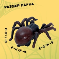 Животное «Паук», на дистанционном управлении, работает от батареек, цвета МИКС Животное «Паук», на дистанционном управлении, работает от батареек, цвета МИКС