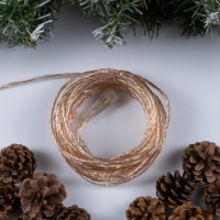 Гирлянда «Нить» 10 м роса, IP44, медная нить, 100 LED, свечение тёплое белое, мерцание, 220 В Гирлянда «Нить» 10 м роса, IP44, медная нить, 100 LED, свечение тёплое белое, мерцание, 220 В