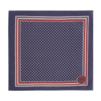 Платки носовые мужские &laquo;Этель&raquo;, размер 30х30 см, (набор 12 шт,) принт МИКС, 100% хлопок