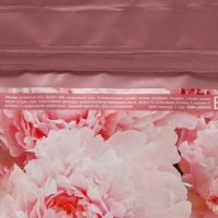 Подарочный набор косметики &laquo;Сияй!&raquo;, гель для душа 250 мл и скраб для тела соляной 250 г, ЧИСТОЕ СЧАСТЬЕ