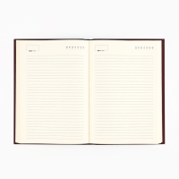 Ежедневник &laquo;Учителю: Золотой учитель&raquo; А5, 160 л, твёрдая обложка, кожзам, коричневый