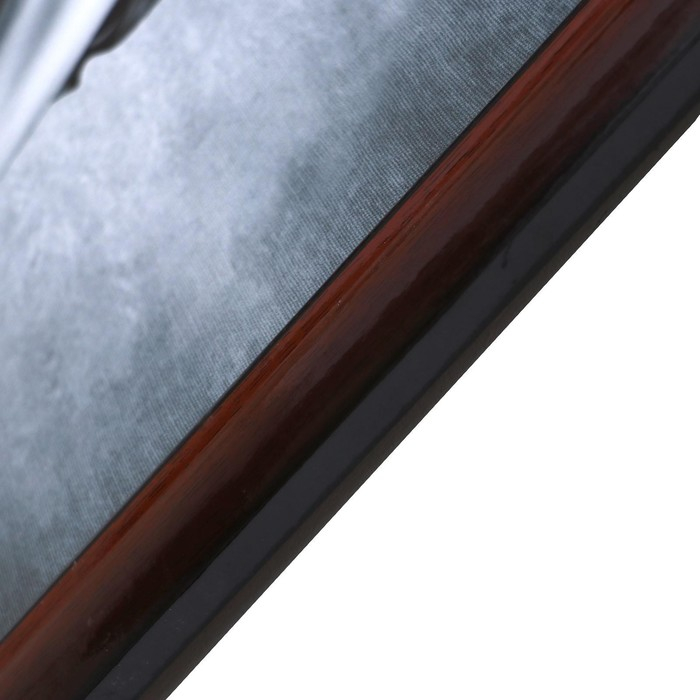 Картина "Девушка и леопард" 56х106см рамка микс