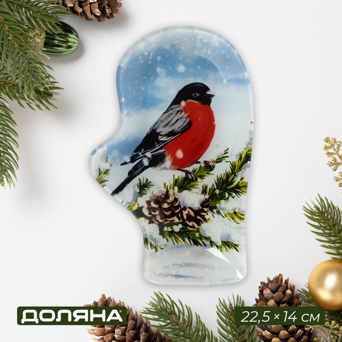 Блюдо новогоднее стеклянное сервировочное Доляна «Рукавица. Снегирь», 22,5×14 см Блюдо новогоднее стеклянное сервировочное Доляна «Рукавица. Снегирь», 22,5×14 см