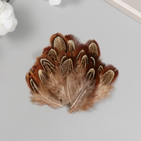 Перо декоративное фазана "Рябь. Коричневая" набор 20 шт h=5-7 см Перо декоративное фазана "Рябь. Коричневая" набор 20 шт h=5-7 см