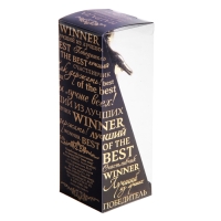 Кубок наградная фигура &laquo;Золотой директор&raquo;, оскар, пластик, подставка камень, 18 х 6 см