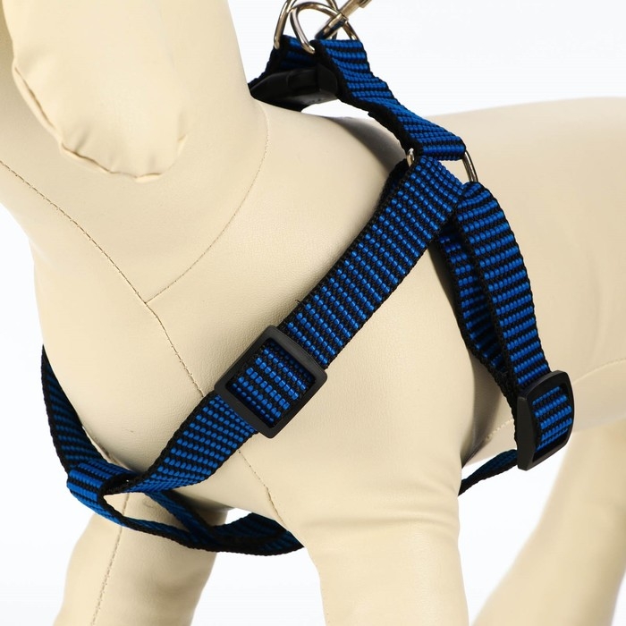 Комплект амуниции рельефный, поводок 120 х 2 см, ОГ 44-50 см, сине-чёрный Комплект амуниции рельефный, поводок 120 х 2 см, ОГ 44-50 см, сине-чёрный