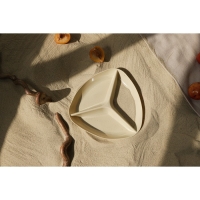 Менажница «Стайл», 24×24×2,5 см, цвет МИКС Менажница «Стайл», 24×24×2,5 см, цвет МИКС