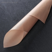 Коврик для выпечки антипригарный Доляна, 33&times;45 см, цвет коричневый