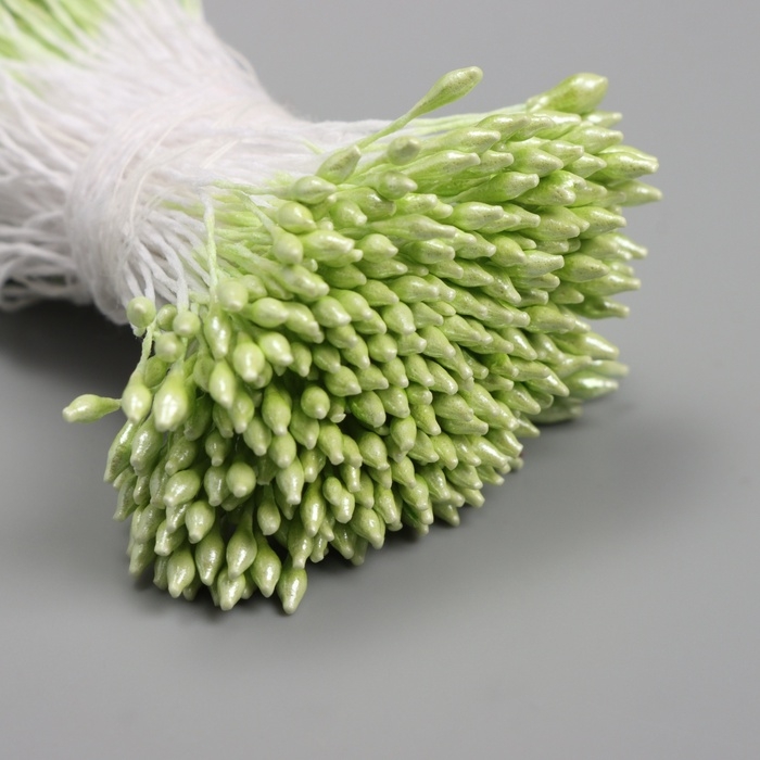 Тычинки для искусственных цветов глянец Тычинки для искусственных цветов глянец "Рисинки" светло-зелёный набор 360 шт длина 6 см