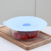 Крышка для хранения Доляна &laquo;Симпл&raquo;, силикон, d=21 см, цвет голубой