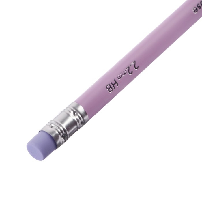 Набор чернографитных карандашей 12 штук HB ErichKrause Набор чернографитных карандашей 12 штук HB ErichKrause "Pastel Bloom" дерево, трехгранных с ластиком