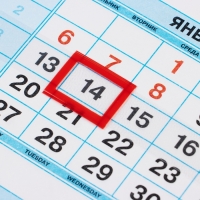 Календарь квартальный мини-трио "Ушки на макушке" 2025 год, 19,5 х 47 см Календарь квартальный мини-трио "Ушки на макушке" 2025 год, 19,5 х 47 см