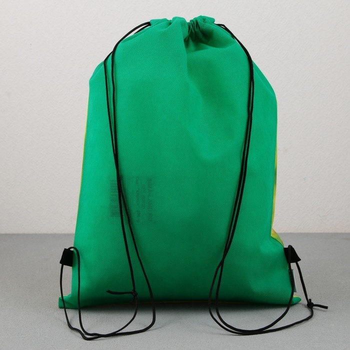 Мешок для обуви &laquo;Милый щенок&raquo; нетканное полотно, размер 30 х 40 см