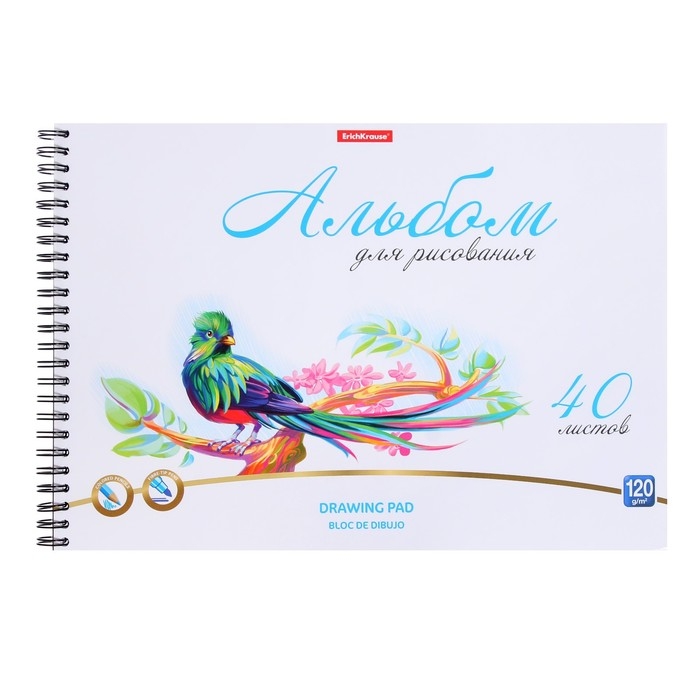 Альбом для рисования А4, 40 листов, блок 120 г/м&sup2;, на спирали, Erich Krause "Birds", пластиковая обложка, 100% белизна, перфорация на отрыв, твердая подложка
