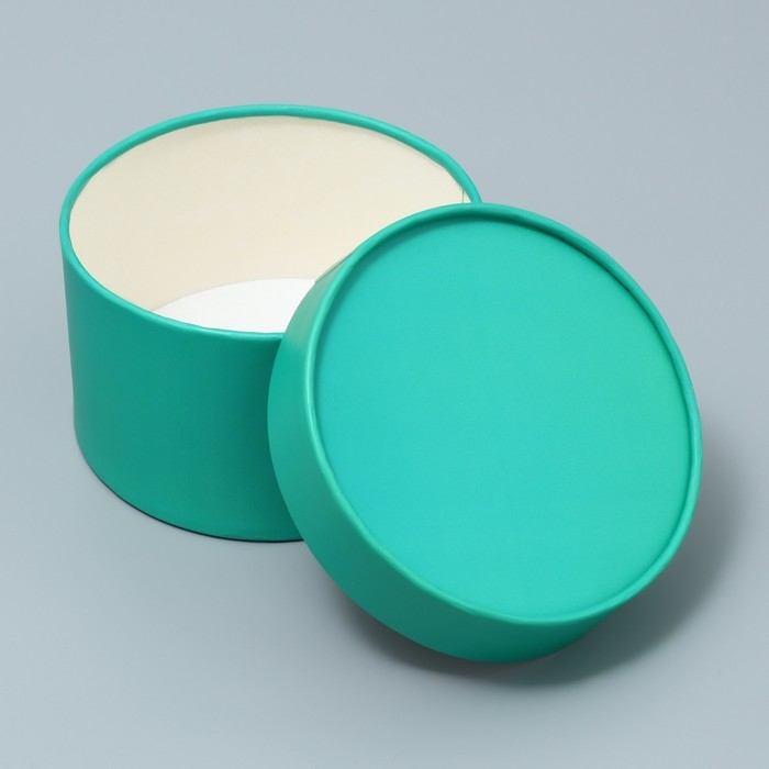 Коробка подарочная, упаковка, &laquo;Мята&raquo;, 13 х 9 см