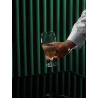 Набор бокалов для коктейлей &laquo;Магнолия&raquo;, 380 мл, 6 шт