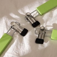 Вешалки для брюк и юбок LaDо́m Brillant, 28×12×2,3 см, 2 шт, деревянные, с зажимами, цвет фисташковый Вешалки для брюк и юбок LaDо́m Brillant, 28×12×2,3 см, 2 шт, деревянные, с зажимами, цвет фисташковый