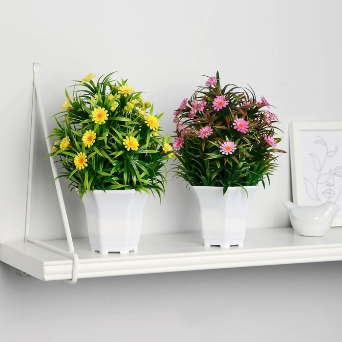 Бонсай в горшке "Ромашка нивяник" 11х22 см, микс