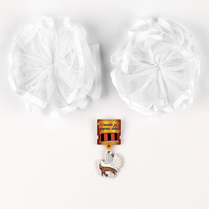 Карнавальный набор «Защитница отчизны» оранжевый берет, размер 54-56, банты 2 шт Карнавальный набор «Защитница отчизны» оранжевый берет, размер 54-56, банты 2 шт