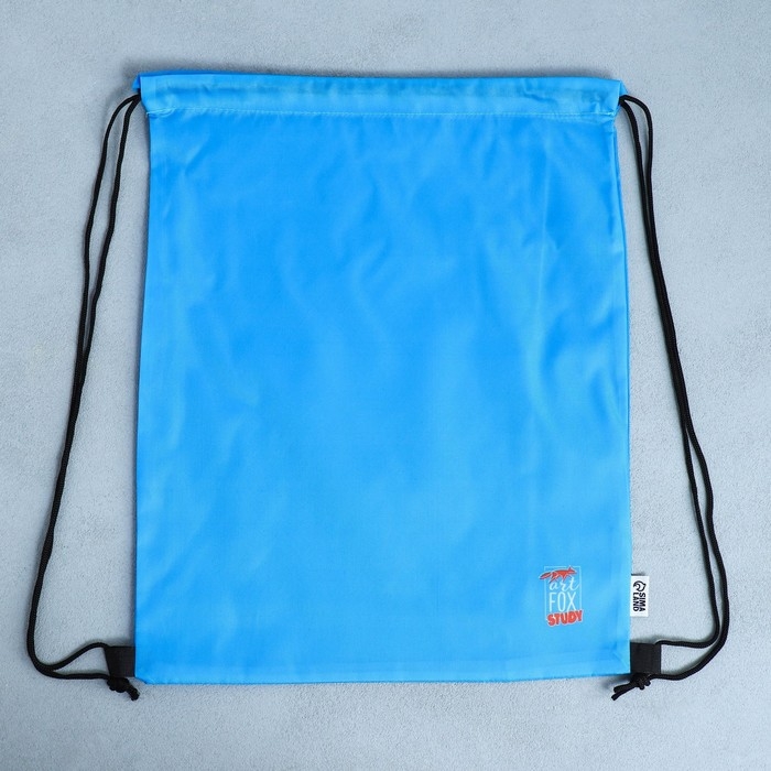 Мешок для обуви, болоньевый материал &laquo;1 сентября&raquo; цвет голубой, 30 х 40 см