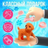 Игровой набор «Милые питомцы» Игровой набор «Милые питомцы»