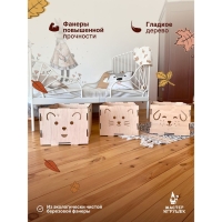 Конструктор деревянный &laquo;Ящики-Мордашки&raquo;, 3 шт.