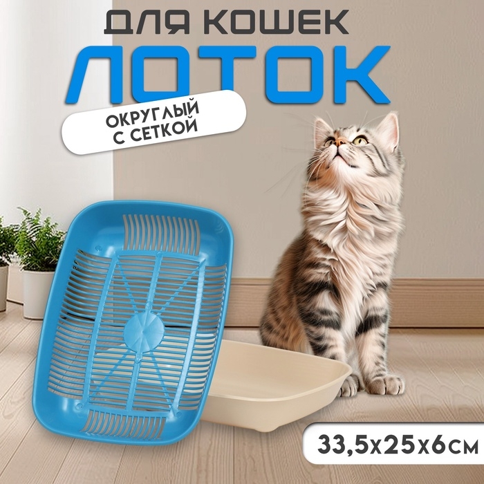 Туалет округлый с сеткой 33,5 х 25 х 6 см, голубой/бежевый Туалет округлый с сеткой 33,5 х 25 х 6 см, голубой/бежевый