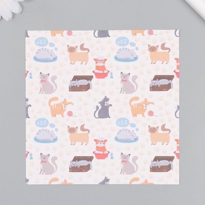 Набор бумаги для скрапбукинга 12 листов 12 дизайнов "Забавные котики" 160 гр 15,2х15,2 см