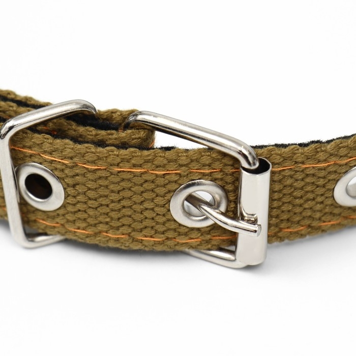 Ошейник брезентовый с подкладом, 52 х 2 см, песочный Ошейник брезентовый с подкладом, 52 х 2 см, песочный