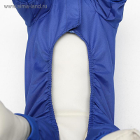 Комбинезон для животных, без подклада, XL, ДС 32-34, ОШ 32, ОГ 46-48 см, синий