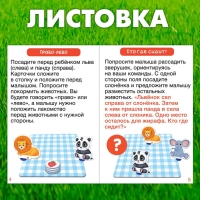 Развивающий набор &laquo;Всё по местам&raquo;, 16 карточек, 10 заданий, 3+