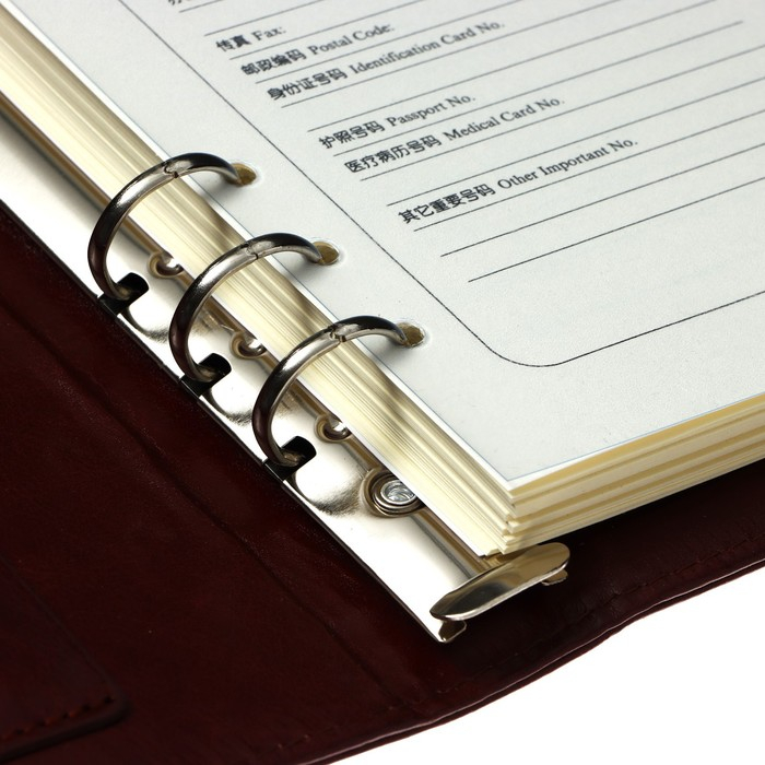 Органайзер на кольцах Органайзер на кольцах "Классика" А5, 96 листов в линейку с ремешком, МИКС