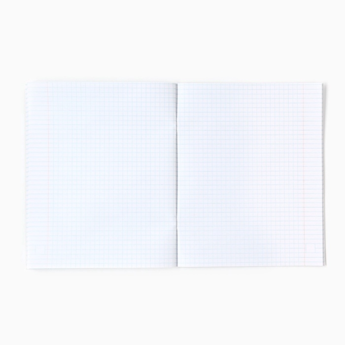 Набор тетрадей 48 листов, в клетку, А5, Коты-аристократы