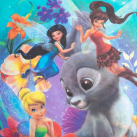 Постельное бельё "Феи" 1,5 сп., размер 143х215 см, 150х214 см, 50х70 см -1 шт., 100% хлопок, поплин 125 г/м2 Постельное бельё "Феи" 1,5 сп., размер 143х215 см, 150х214 см, 50х70 см -1 шт., 100% хлопок, поплин 125 г/м2