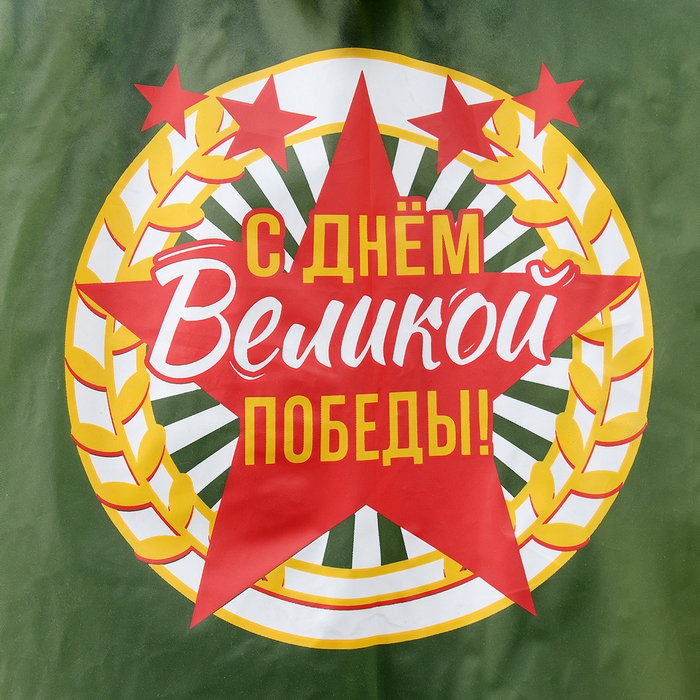 Карнавальный набор &laquo;День победы!&raquo;, р. 42&ndash;54, дождевик, флажок