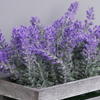 Бонсай "Лаванда в ящичке" 8х16,5х15 см, микс Бонсай "Лаванда в ящичке" 8х16,5х15 см, микс