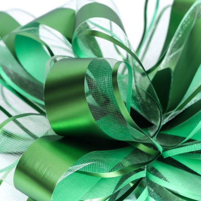 Бант-шар №6.5