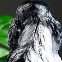 Копилка "Кокер с щенками" 30х20х25см Копилка "Кокер с щенками" 30х20х25см