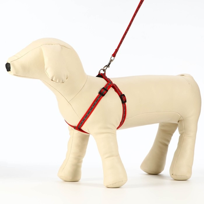 Комплект светоотражающий Комплект светоотражающий "Косточки", поводок 1 х 120 см (ОШ 26-42 см ,ОГ 26-42 см) красный