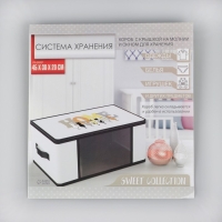 Органайзер для хранения белья, кофр с pvc-окном &laquo;HOME&raquo;, 43 х 28,5 х 20 см.
