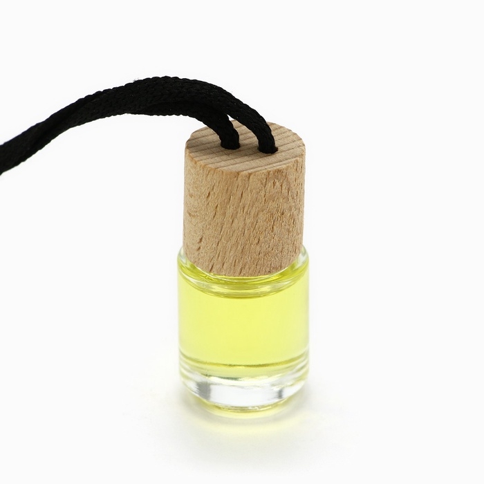 Ароматизаторы для машины новогодние &laquo;Все сбудется, загадывай&raquo;, цитрус, тропики, парфюм, 3 шт