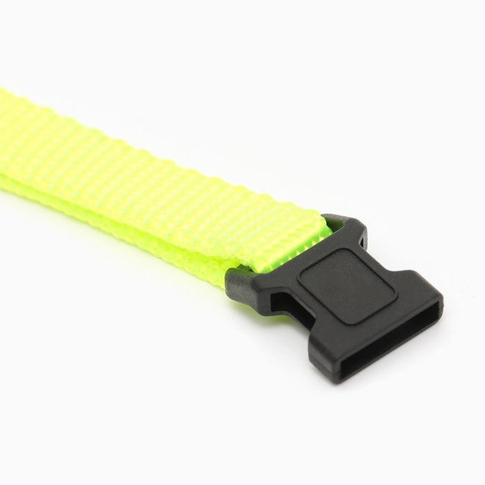 Ошейник Ошейник "Радуга", 33 х 1 см, полиэстер, микс цветов