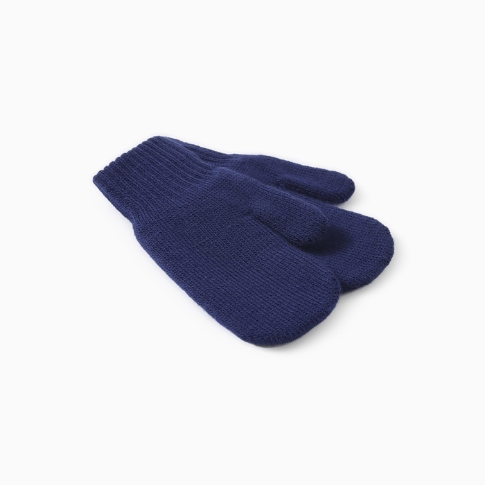 Варежки двойные детские, цвет тёмно-синий, размер 10 Варежки двойные детские, цвет тёмно-синий, размер 10