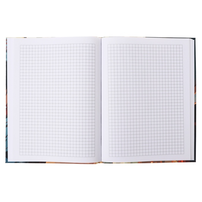 Бизнес-блокнот А5 64 листа в клетку, New look, обложка картон, глянцевая ламинация, выборочный лак, блок 60г/м2, МИКС Бизнес-блокнот А5 64 листа в клетку, New look, обложка картон, глянцевая ламинация, выборочный лак, блок 60г/м2, МИКС