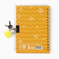 Записная книжка на замочке &laquo;Енотик&raquo;, А6, 50 листов .